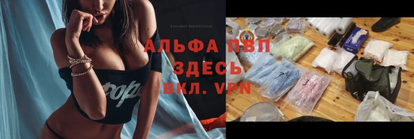 стафф Верхний Тагил